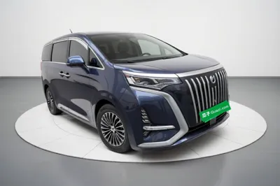 Denza D9