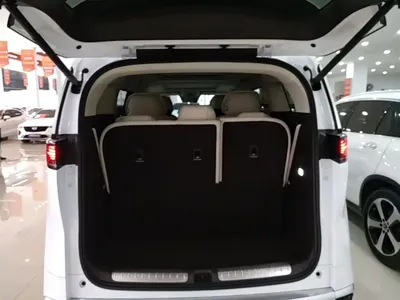 Denza Denza D9