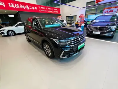 Volkswagen Tiguan L New Energy