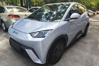 BYD Seagull
