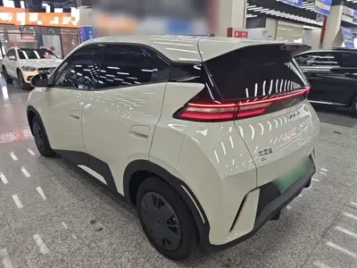BYD Seagull