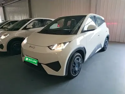 BYD Seagull