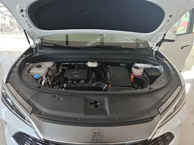 BYD L DM-i