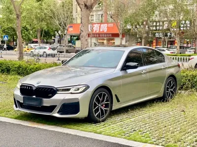 BMW 5 Series (Import)