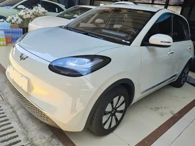 Wuling Bingo