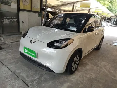 Wuling Bingo