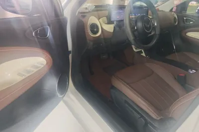 Wuling Bingo