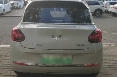 Wuling Bingo
