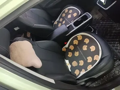 NETA Neta V