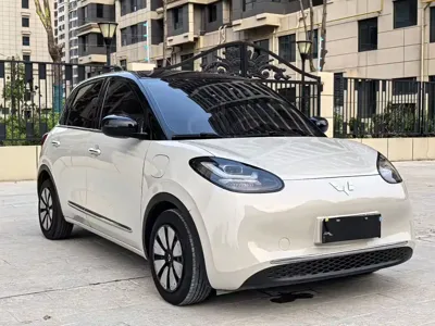 Wuling Bingo