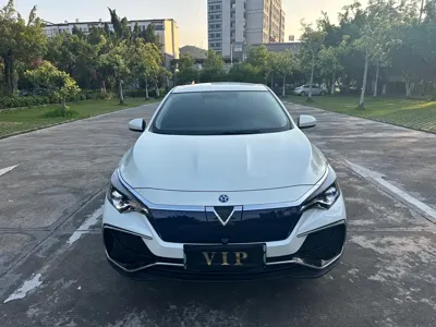 Venucia D60 EV