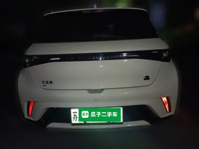 BYD Dolphin