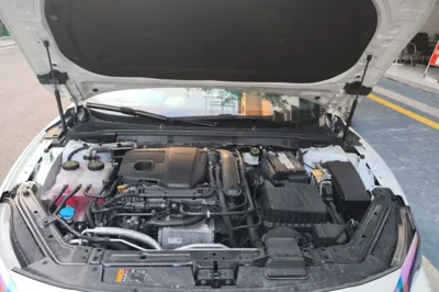 MG 7