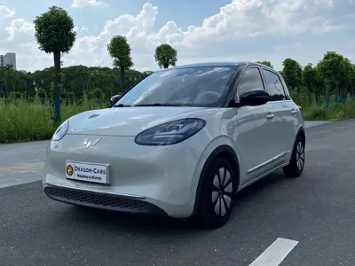 Wuling Bingo