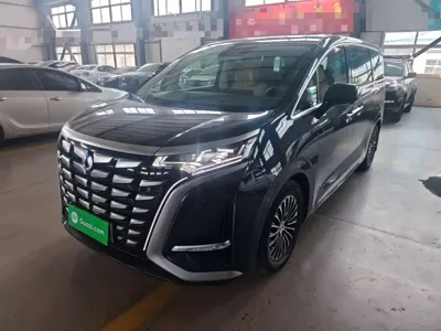 Denza Denza D9