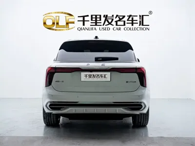 Hongqi Hongqi E-HS9