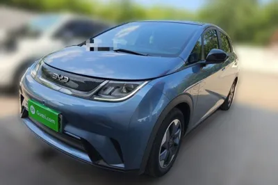 BYD Dolphin