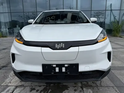WM Motor EX5