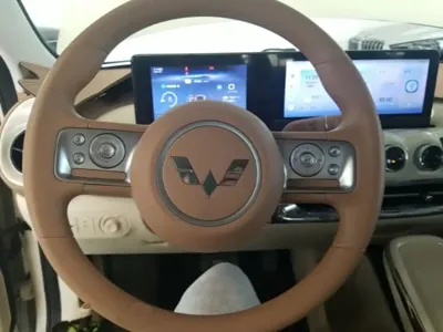 Wuling Bingo