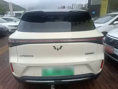 Wuling 缤果S