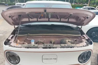 Geely Galaxy Panda