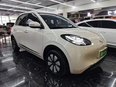Wuling Bingo