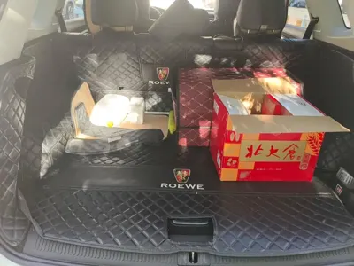 Roewe RX5 Max
