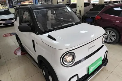Geely Galaxy Panda