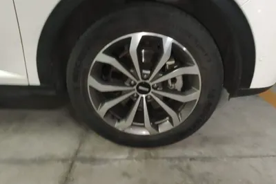 WEY VV6