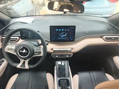 BYD Seagull
