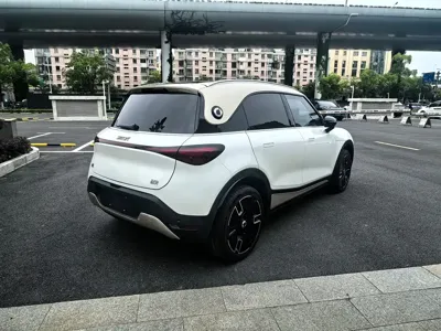 Smart Smart #1
