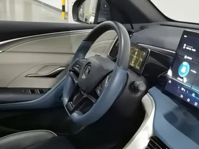 BYD Pro