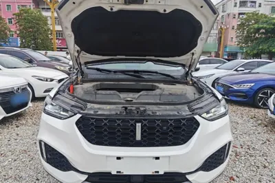 WEY VV6