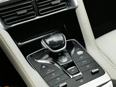 BYD PLUS New Energy