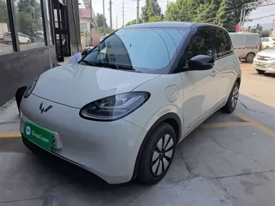 Wuling Bingo