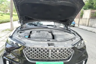 WEY VV7