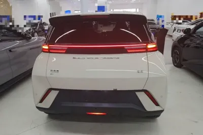 BYD Seagull