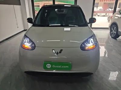 Wuling Bingo
