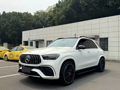 Mercedes-Benz 奔驰GLE(进口)
