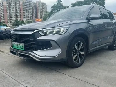 BYD Pro New Energy