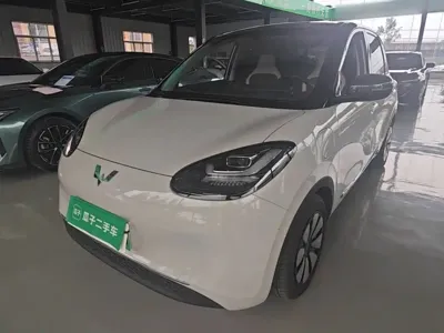 Wuling Bingo