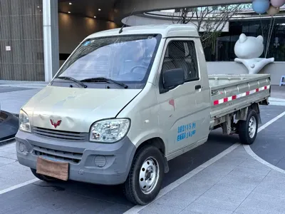 Wuling Zhiguang Mini Truck
