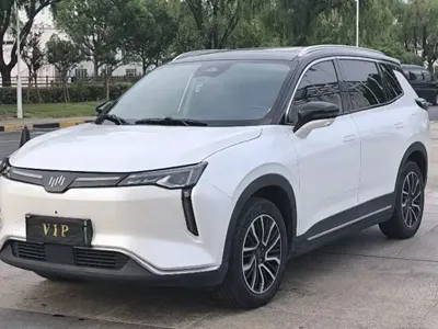 WM Motor W6