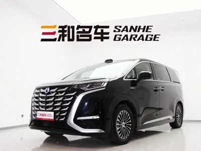 Denza Denza D9