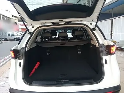 BAIC X7