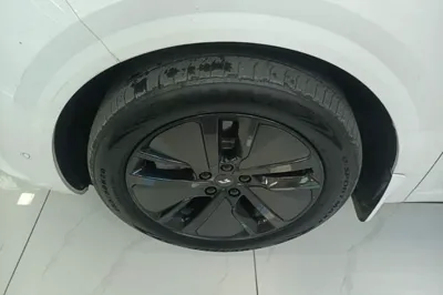 Li Auto L6