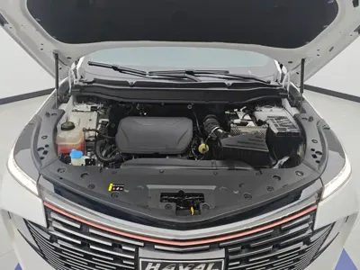 Haval Shenshou