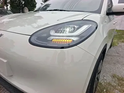 Wuling Bingo