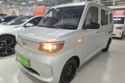 Wuling Zhiguang New Energy