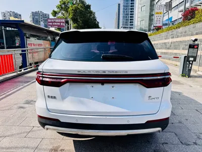 BYD Pro